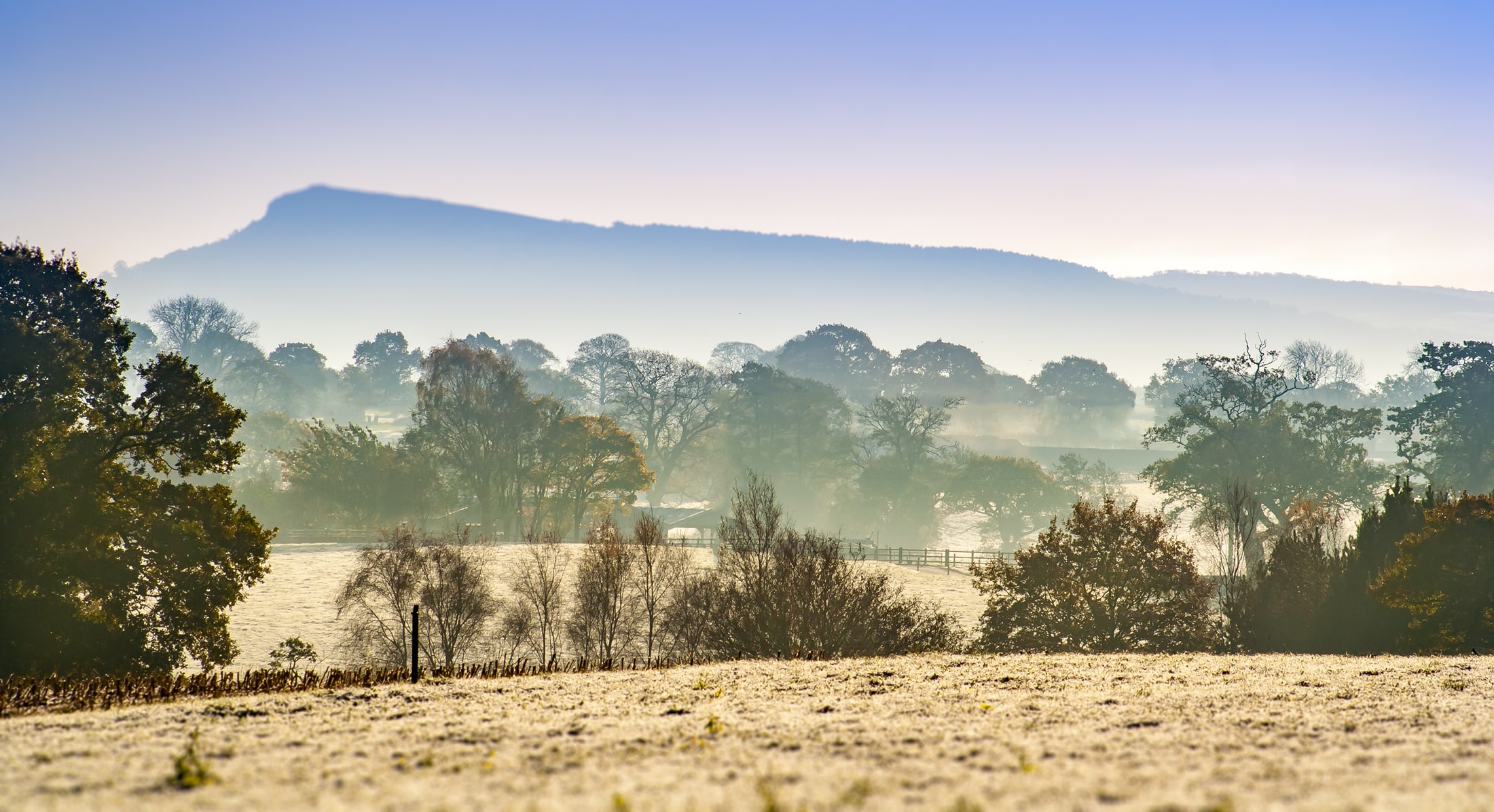 The Area's leading estate agency in South Manchester & The High Peak