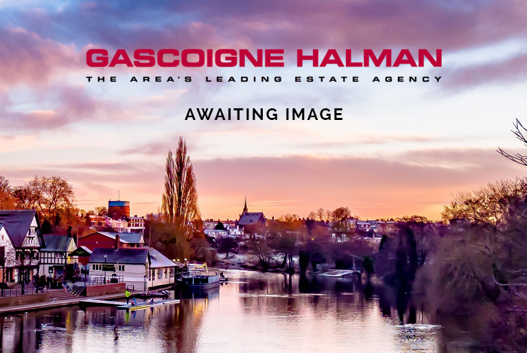 Awaiting Images for Hale