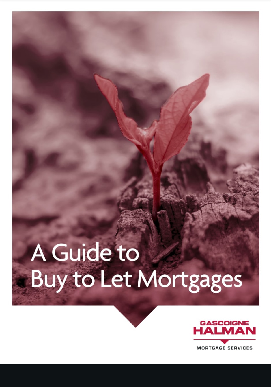 Buy to let Guide