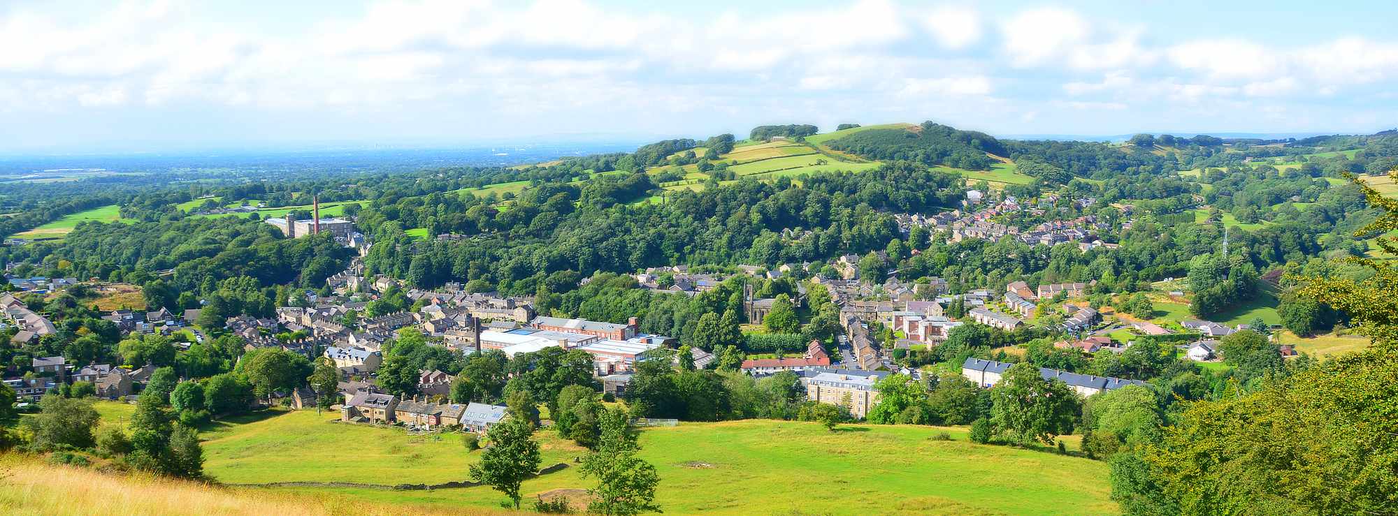 The Area's leading estate agency in South Manchester & The High Peak