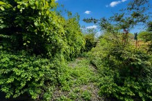 Images for Post Street, Padfield, SK13