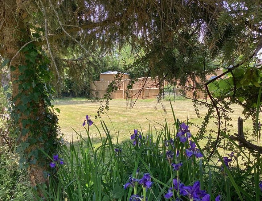 Images for Bungalow annexe and 1.25 acres in Mill Lane Kingsley