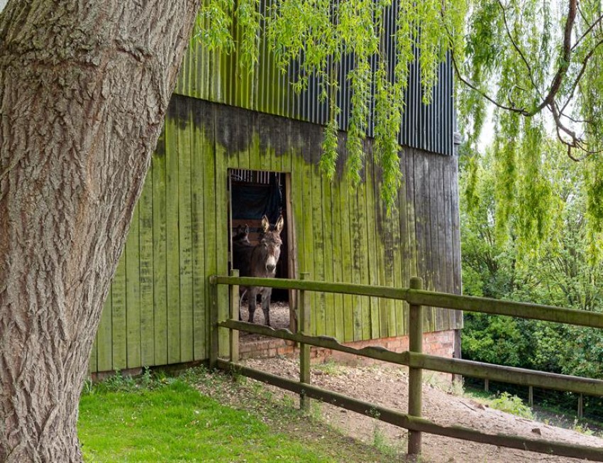 Images for Large farmhouse, detached converted barn, land and outbuildings in Higher Wych