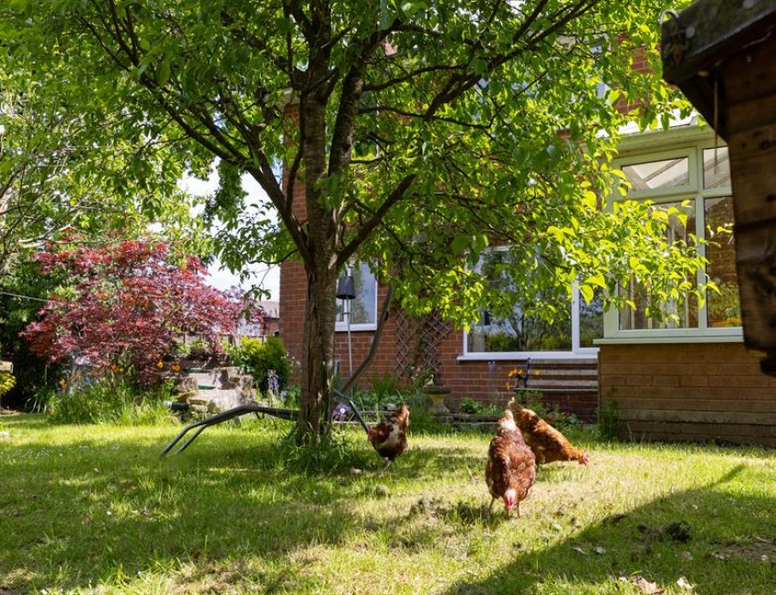 Images for Broom Crescent, Tarvin