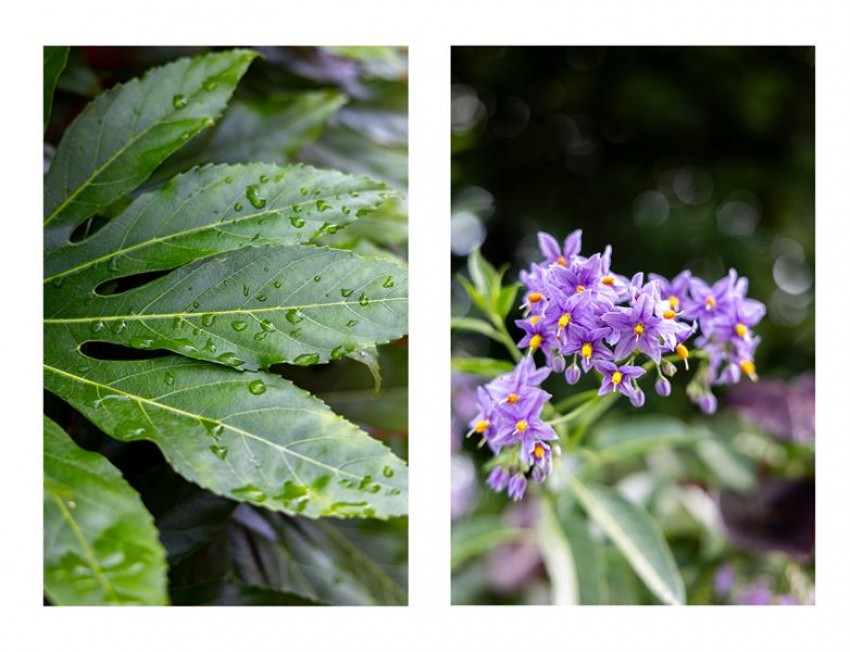 Images for Harrison Close, Tattenhall, Chester