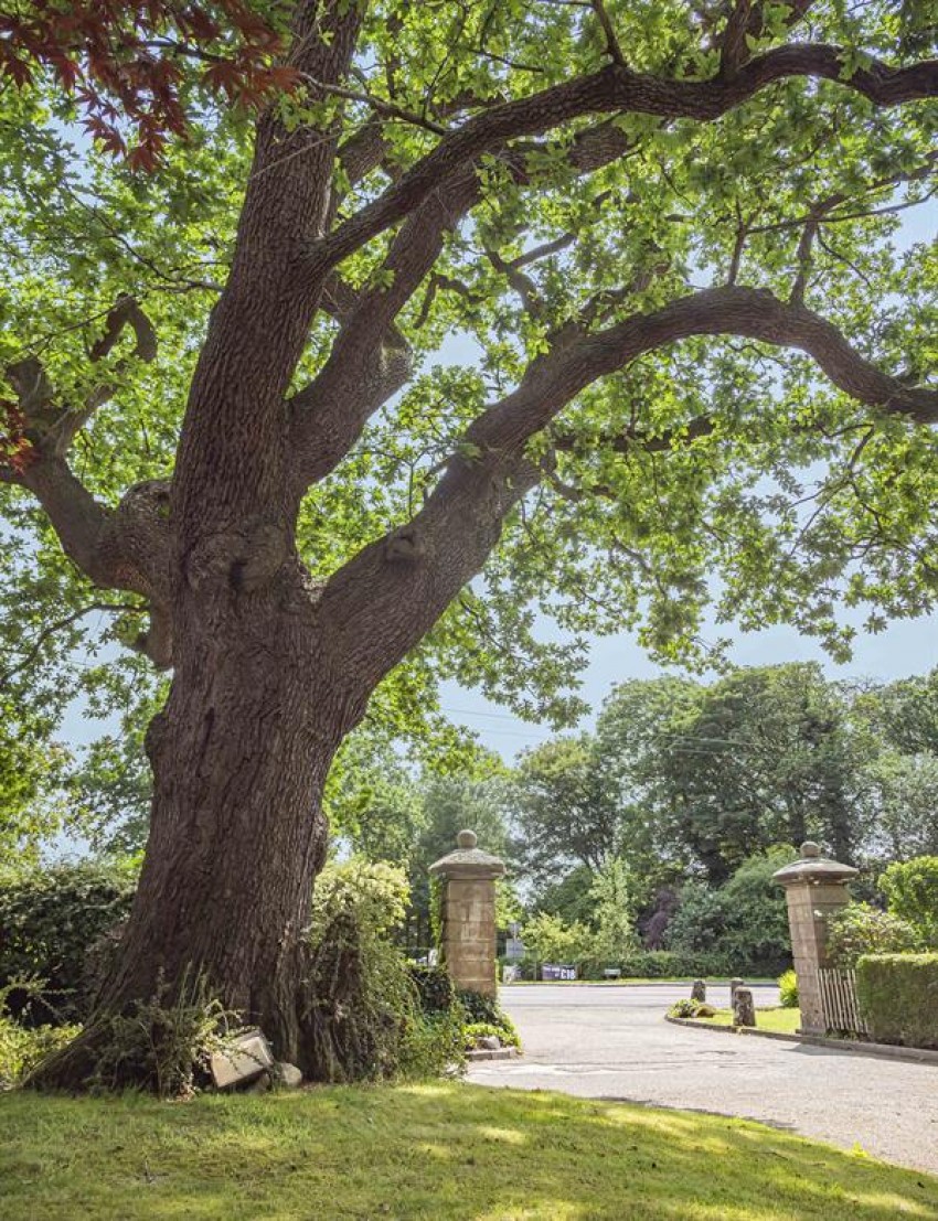 Images for Woodlands Crescent, High Legh, Knutsford