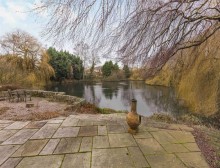Images for Lakelands Close, Macclesfield