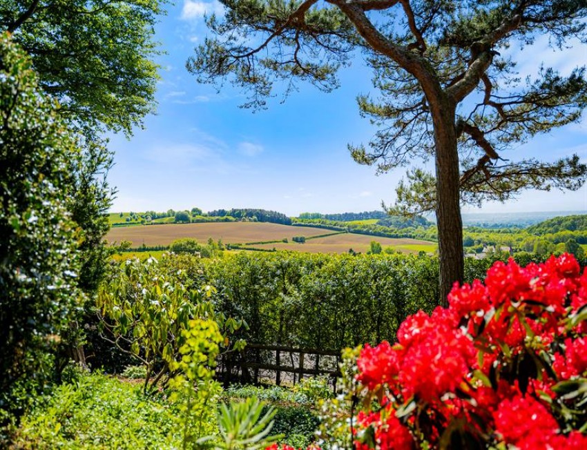 Images for Incredible 8435 square feet property with sensational views in Crossley Park