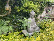 Images for St. Johns Road, Knutsford