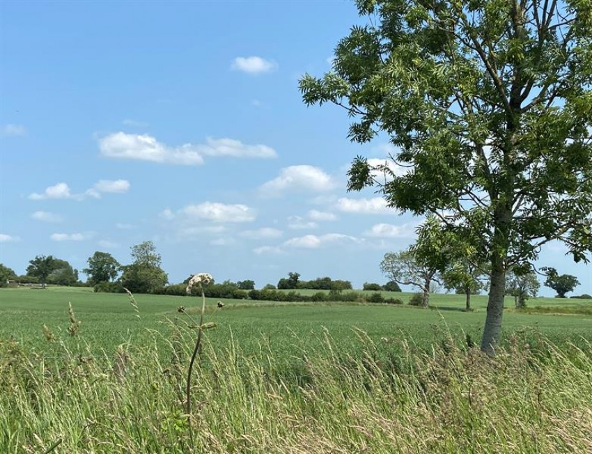 Images for Ridley, Tarporley