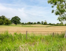 Images for Ridley, Tarporley