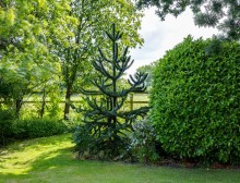 Images for Golborne Manor - Country house with separate coach house and 3.21 acre in total