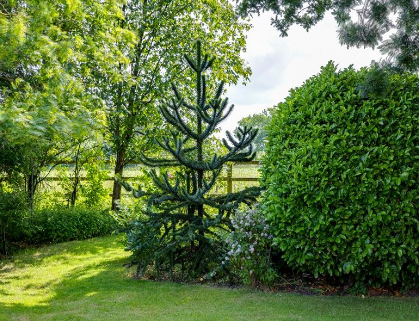 Images for Golborne Manor - Country house with separate coach house and 3.21 acre in total