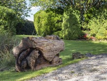 Images for Dutton, Warrington
