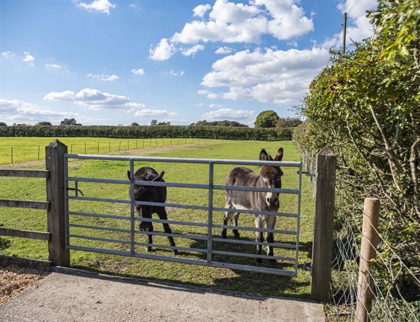 Images for Dutton, Warrington