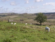 Images for Shawside Farm, Upper Hulme, Leek