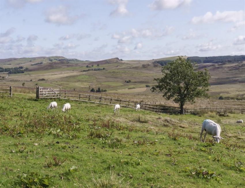 Images for Shawside Farm, Upper Hulme, Leek