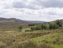 Images for Shawside Farm, Upper Hulme, Leek