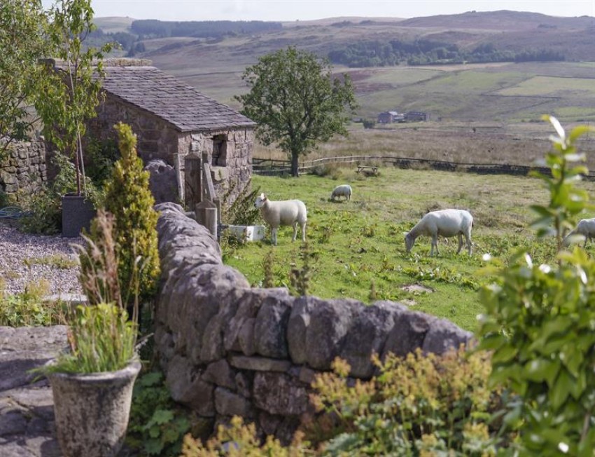 Images for Shawside Farm, Upper Hulme, Leek