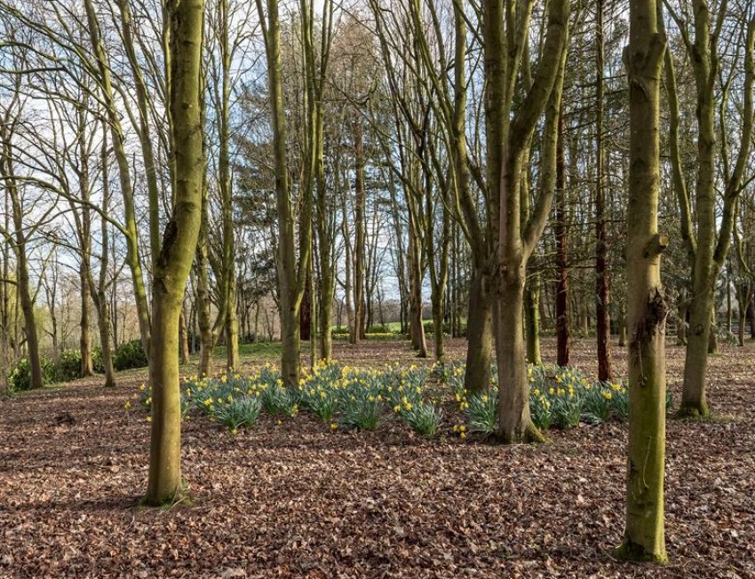 Images for Trap Road, Somerford Booths