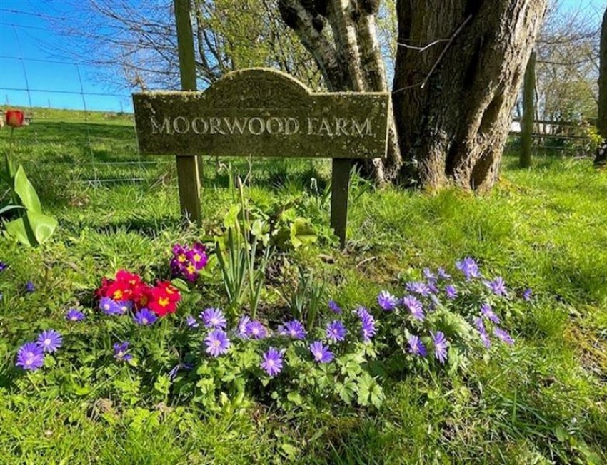 Images for New Mills, High Peak