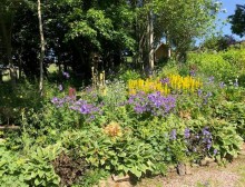 Images for New Mills, High Peak