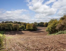 Images for Whitegate, Northwich