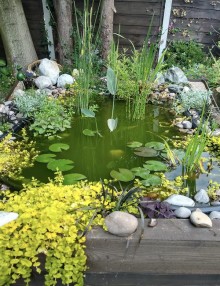 Images for Hawthorn Bank, Hadfield, Glossop