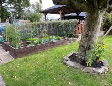 Images for King Street, Woodford