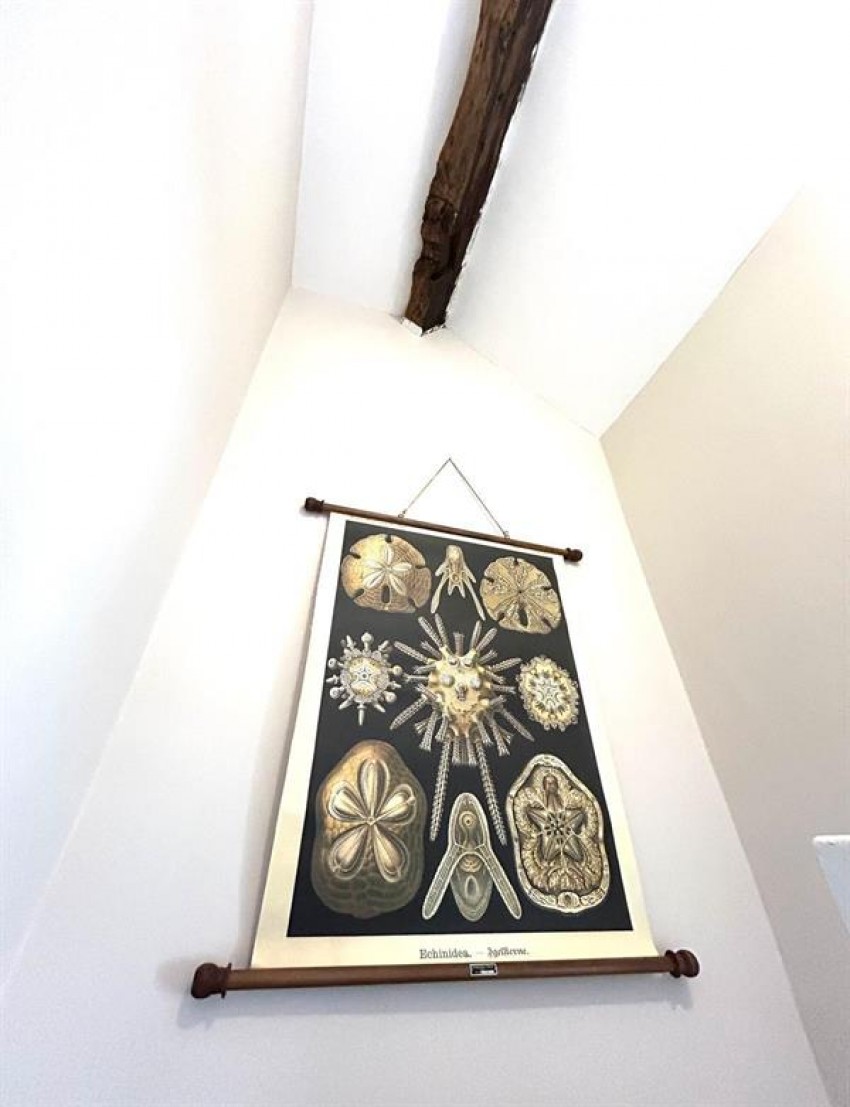 Images for Terrace Road, Chapel-En-Le-Frith, High Peak