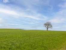 Images for Barn conversion Ridley, Tarporley.