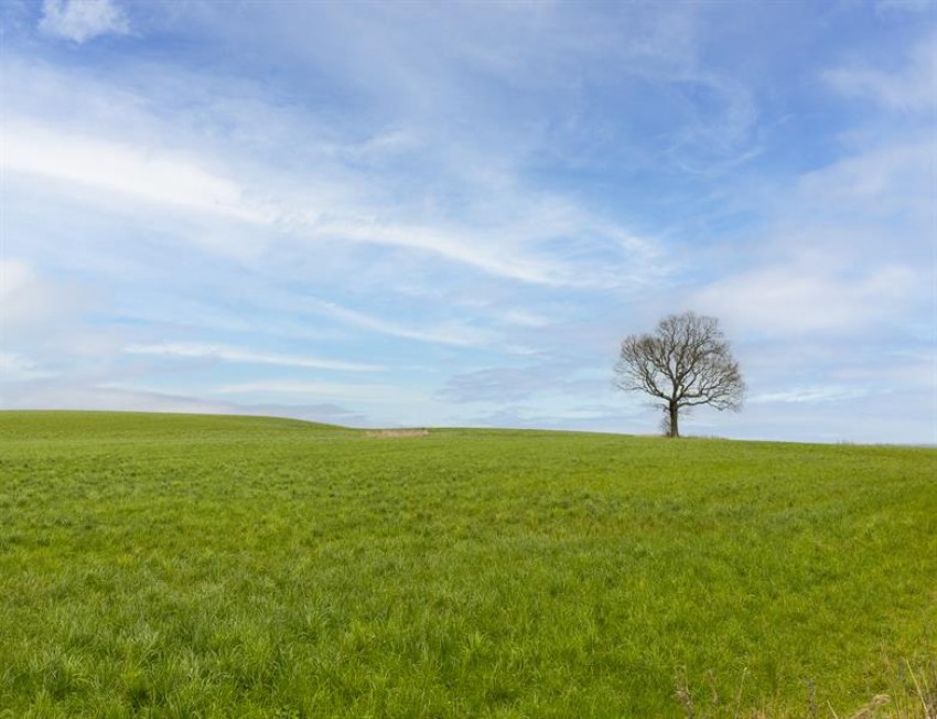 Images for Barn conversion Ridley, Tarporley.