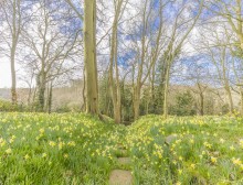 Images for The Coppice, Cuddington, Northwich