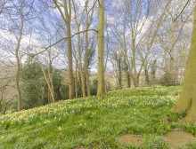 Images for The Coppice, Cuddington, Northwich