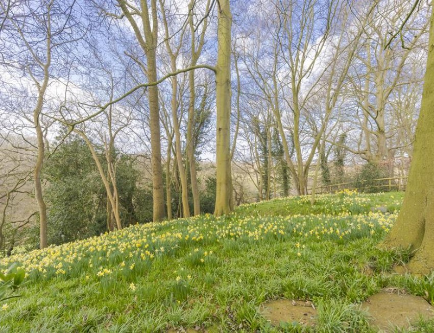 Images for The Coppice, Cuddington, Northwich