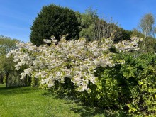 Images for Breech Moss Lane, Norley, WA6