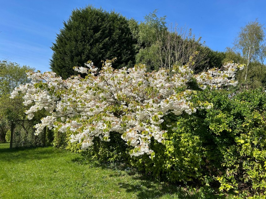Images for Breech Moss Lane, Norley, WA6