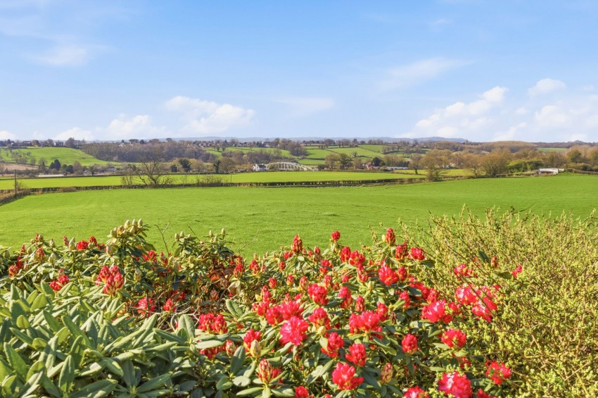 Images for Willow Green Lane, Little Leigh, CW8