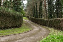 Images for Giantswood Lane, Hulme Walfield, CW12