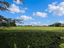 Images for Common Lane, Lach Dennis, CW9