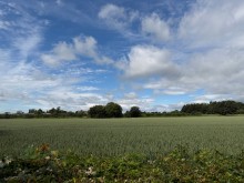 Images for Amberleigh Close, Appleton Thorn, WA4