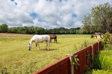 Images for Chester Road, Little Budworth, CW6