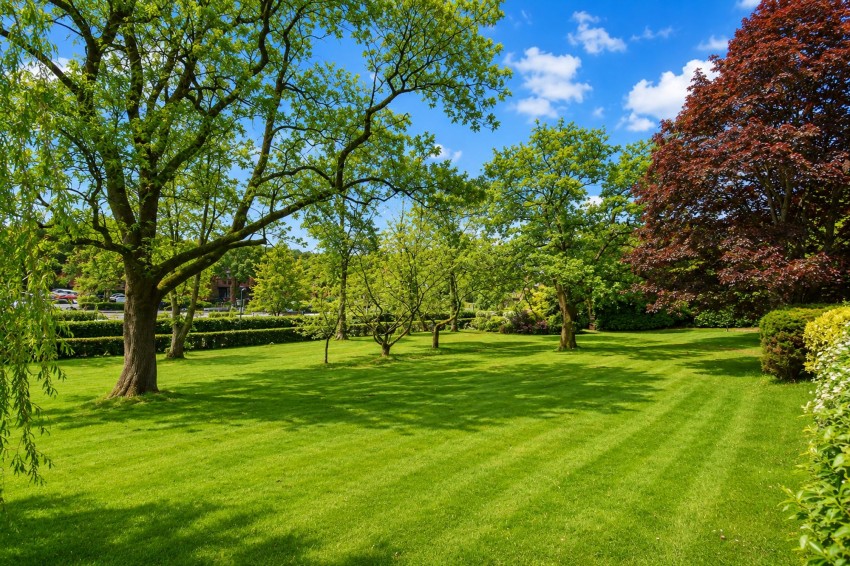 Images for Heyes Lane, Alderley Edge, SK9