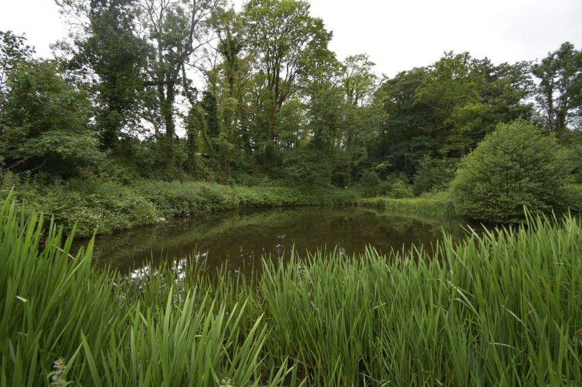 Images for Bridgemont, Whaley Bridge, SK23