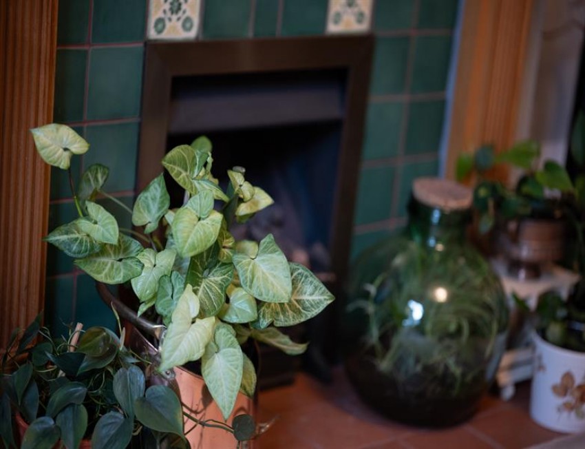 Images for Parsonage Road, Heaton Moor