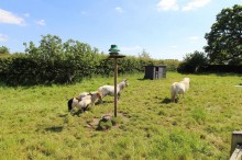 Images for Rookery Cottage, Haughton