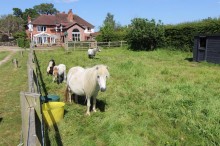 Images for Rookery Cottage, Haughton