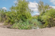 Images for Hall Lane, Haughton, CW6