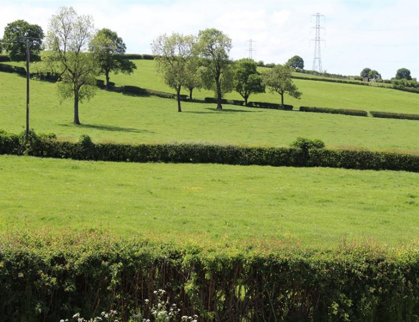 Images for Waterloo Cottages, Kingswood, Frodsham