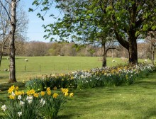 Images for South Courtyard, Alderley Park, Nether Alderley, Macclesfield